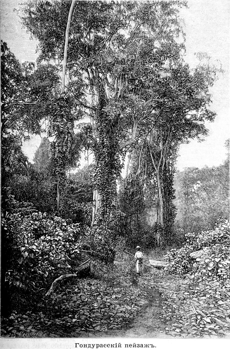 341 Гондурасский пейзаж